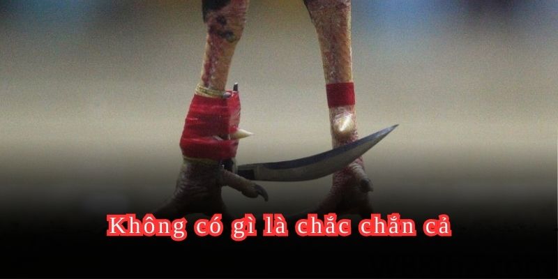 Không có gì là chắc chắn cả