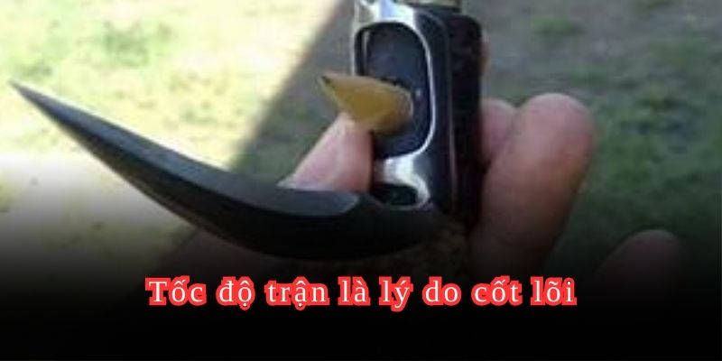 Tốc độ trận là lý do cốt lõi